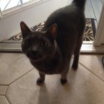@embree808chris - Instagram