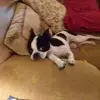 Chris Embury - @chris.embury0 - TikTok