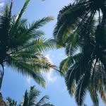 Chris_chris - @chris__emmanu - Instagram