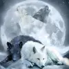 Chris Northrop - @chrisemo9696 - TikTok