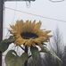 Christopher Emrich - Facebook