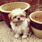 Christopher Emslie - @christopheremslie - Instagram
