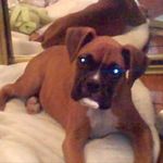 Chris Encina - @chris_encina - Instagram