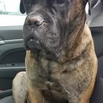 Chris Endless - @chrisendless - Instagram