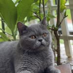 Chris Zhu - @chris_of_the_endless - Instagram