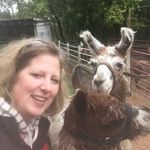 Chris Endres - @quilted_llama - Instagram