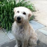 Chris Endres - @chris.endres.395 - Instagram