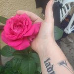 Christina K Endsley-Moore - @crissystitchy - Instagram