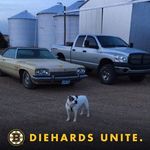 Chris Engelkes - @chrisengelkes - Instagram