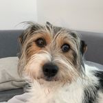@chrisenglert_ - Instagram