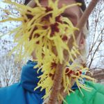 Chris-Pascal Englund Braun - @chrispasknall - Instagram