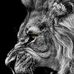 Chris Engman - Facebook