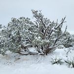 chris enloe - @cenloe11b - Instagram