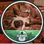 Chris Enochs - @chris.enochs.73 - Instagram