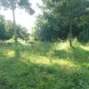 Chris enock - @user0709083137 - TikTok