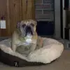 Chris Sheppard - @chrissheppard66 - TikTok