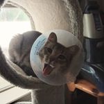 Chris Epperly - @c.epperly - Instagram