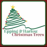 Epping&harlow christmas trees - @epping_harlow_christmas_trees - Instagram
