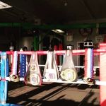 chris eppley - @eppleyboxing - Instagram