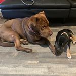 Chris - @chris_epting - Instagram