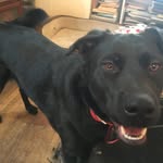 Chris Erdman - @erdman.chris - Instagram