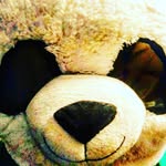chris ericson - @pandaguy72 - Instagram