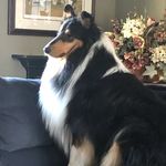 Chris Errington - @cadycroft - Instagram