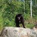 Christopher Erven - Facebook