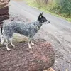 Chris Bensen - @chris.bensen - TikTok