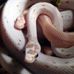 Chris Eschbach - Facebook