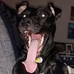 Chris Esh - @chris.esh - Instagram