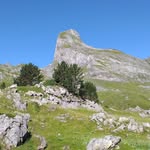 christine Esquerre - @chris.esquerre645 - Instagram