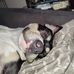 Chris Esser - Facebook