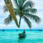 Chris Esser - @chris_esser_824 - Instagram
