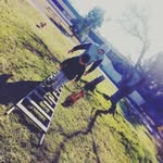 Chris Esteban Vásquez Peña - @cristopheresteban79 - Instagram