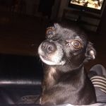 Chris Ethridge - @sluggy3223 - Instagram