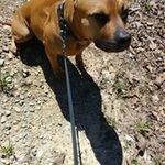 Chris Ethridge - @chris.ethridge.169 - Instagram
