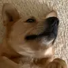 Chris_ Eugene - @chris_.eugene - TikTok