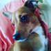 Chris Everidge - Facebook