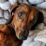 Tina Lynn - @christina.everidge - Instagram