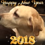 Chris Everson - Facebook