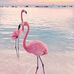 Chris Evola - Facebook