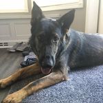 Chris Evola - @bballfan36 - Instagram