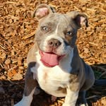 Chris Eyrich - @chris_eyrich666 - Instagram