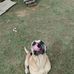 Chris Ezell - Facebook