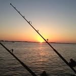Chris Fabre - @chris.fabre - Instagram