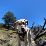 Chris Faille - @deepseachris - Instagram