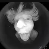 Chris Fain - @chris_fain - TikTok