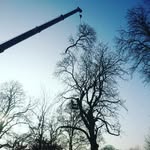 Chris Fairburn - @arb.fairy - Instagram
