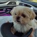 Chris Fairless - Facebook